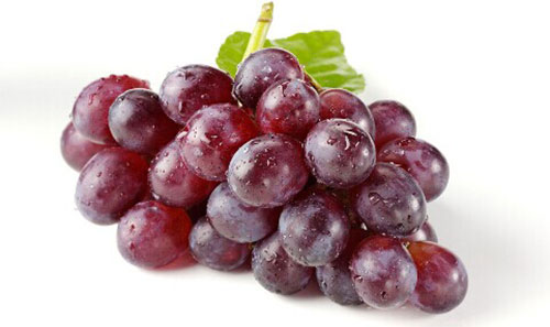 �λ�����ʲô �����λ�ͳ���5��ʳ��